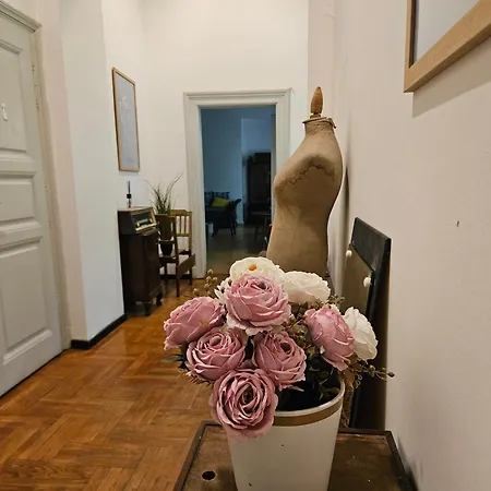 Vintage Heaven Oasis Hostel