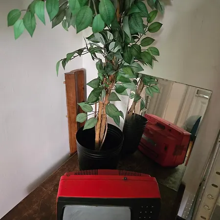 Vintage Heaven Oasis *