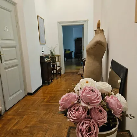 Vintage Heaven Oasis Hostel Budapeşte