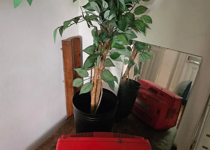 Vintage Heaven Oasis *