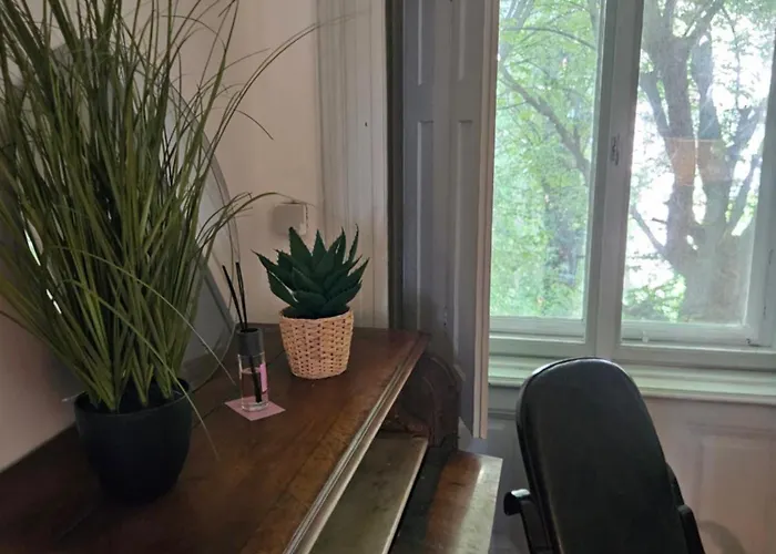 Хостел Vintage Heaven Oasis